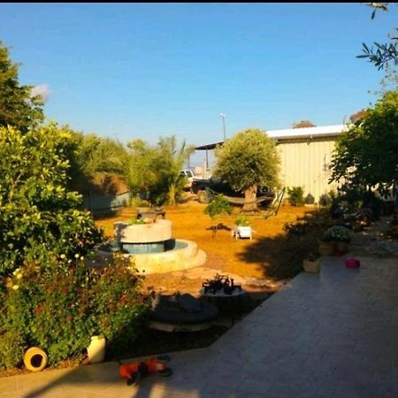 בחצר של טובה Apartment Hazon Bagian luar foto