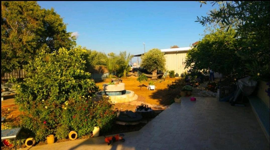 בחצר של טובה Apartment Hazon Bagian luar foto